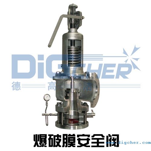 爆破膜安全閥